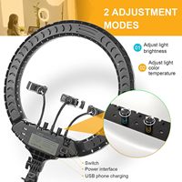 Anneau lumineux LED professionnel 14/18 pouces pour photographie, 60W, intensité réglable, température de couleur ajustable, support de téléphone, trépied, sac de transport