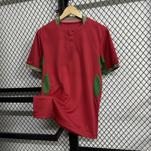 Camiseta de Fútbol 26/27 Selecciones Nacionales Africanas Camerún, Nigeria, Costa de Marfil, Marruecos, <span class=keywords><strong>Ropa</strong></span> de Entrenamiento al por Mayor - Product Image 3