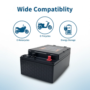 Batteria LiFePO4 60V 50Ah con BMS Integrato, Ciclo Profondo per Veicoli Elettrici a 2 e <span class=keywords><strong>3</strong></span> Ruote - Product Image 4