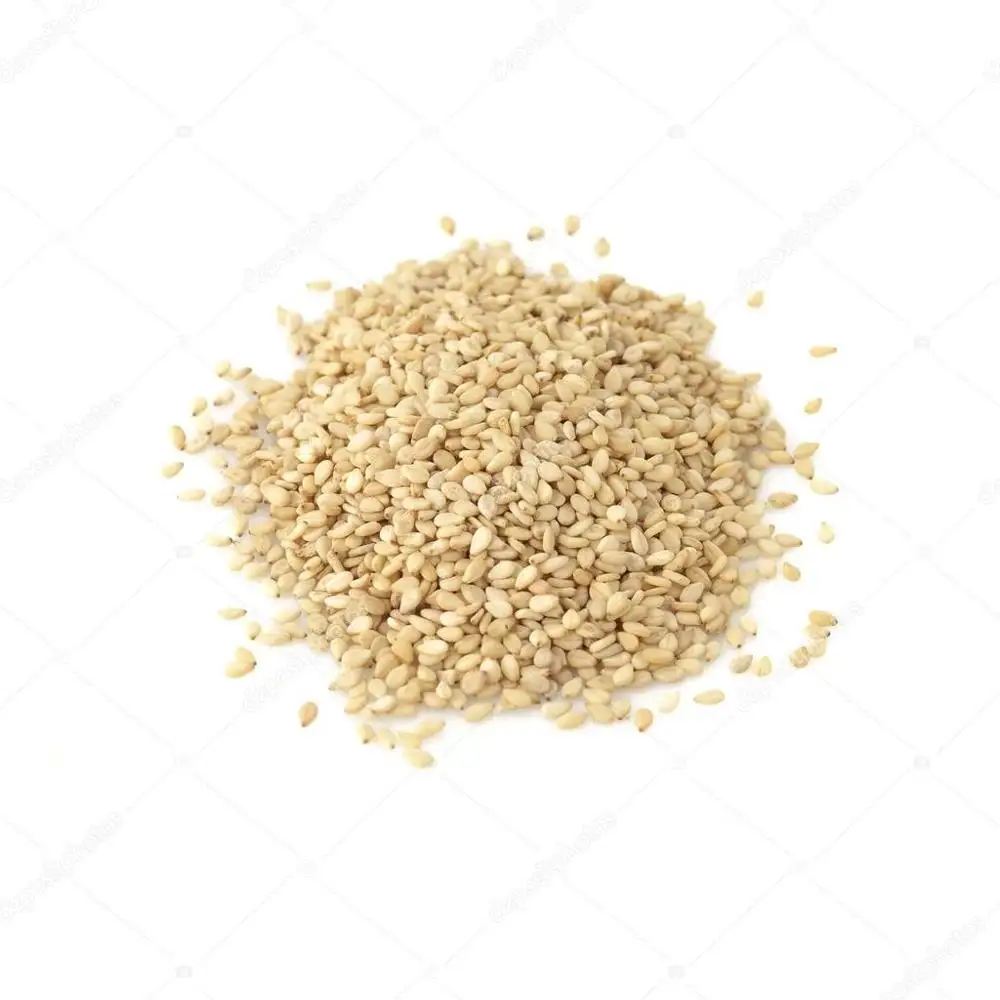 Rich in Lots of Fat Protein Vitamins A and E Organic Pure Natural White Sesame Seeds