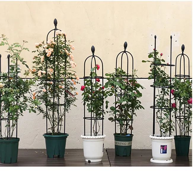 70.8'' Tall Metal Plastic Coated Receptacle Rose Climbing Frame Plant Cage Support