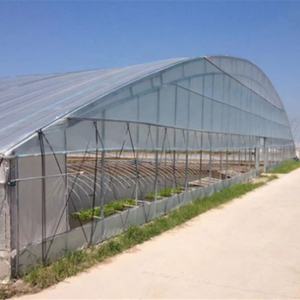 Películas Plásticas Transparentes con Protección UV para Invernaderos, Ideales para Cultivos en Invernaderos - Product Image 6