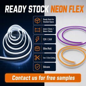 Bande lumineuse LED néon, bande lumineuse néon, lumières néon, tube en silicone pour bandes flexibles 12V - Product Image 6