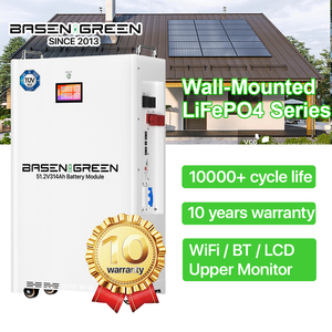 8000 döngü yüksek kapasiteli 15kwh 16kwh lifepo4 piller 51.2V 48V 300Ah 314ah BMS lityum iyon enerji depolama güneş - Product Image 1