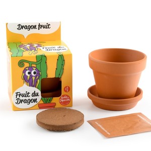 Diseño único Dragon Fruit Garden Sow Box Plant Kit Cerdas para el hogar Plantación para el uso del piso <span class=keywords><strong>de</strong></span> <span class=keywords><strong>invierno</strong></span> Incluye Macetas - Product Image 4