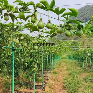 Fence Vegetable Tree Passion Fruit Support Fiber <b>Pole</b> Fiberglass Tube - Product Image 6