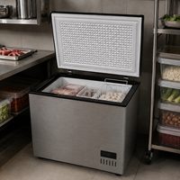 Réfrigérateur de laboratoire à très basse température, petit congélateur horizontal profond de 305 L pour usage commercial