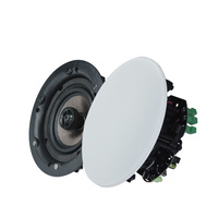 BTF34 4*30W sans cadre à la mode 5.25 pouces coaxial maître bleu dent haut-parleur de plafond avec 1/3 passif 30W haut-parleur de plafond