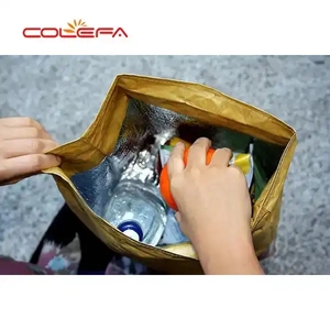 Oem tùy chỉnh 100% có thể tái chế tái sử dụng <span class=keywords><strong>1025d</strong></span> cách điện Tyvek giấy ăn trưa Túi lạnh với lá nhôm - Product Image 2