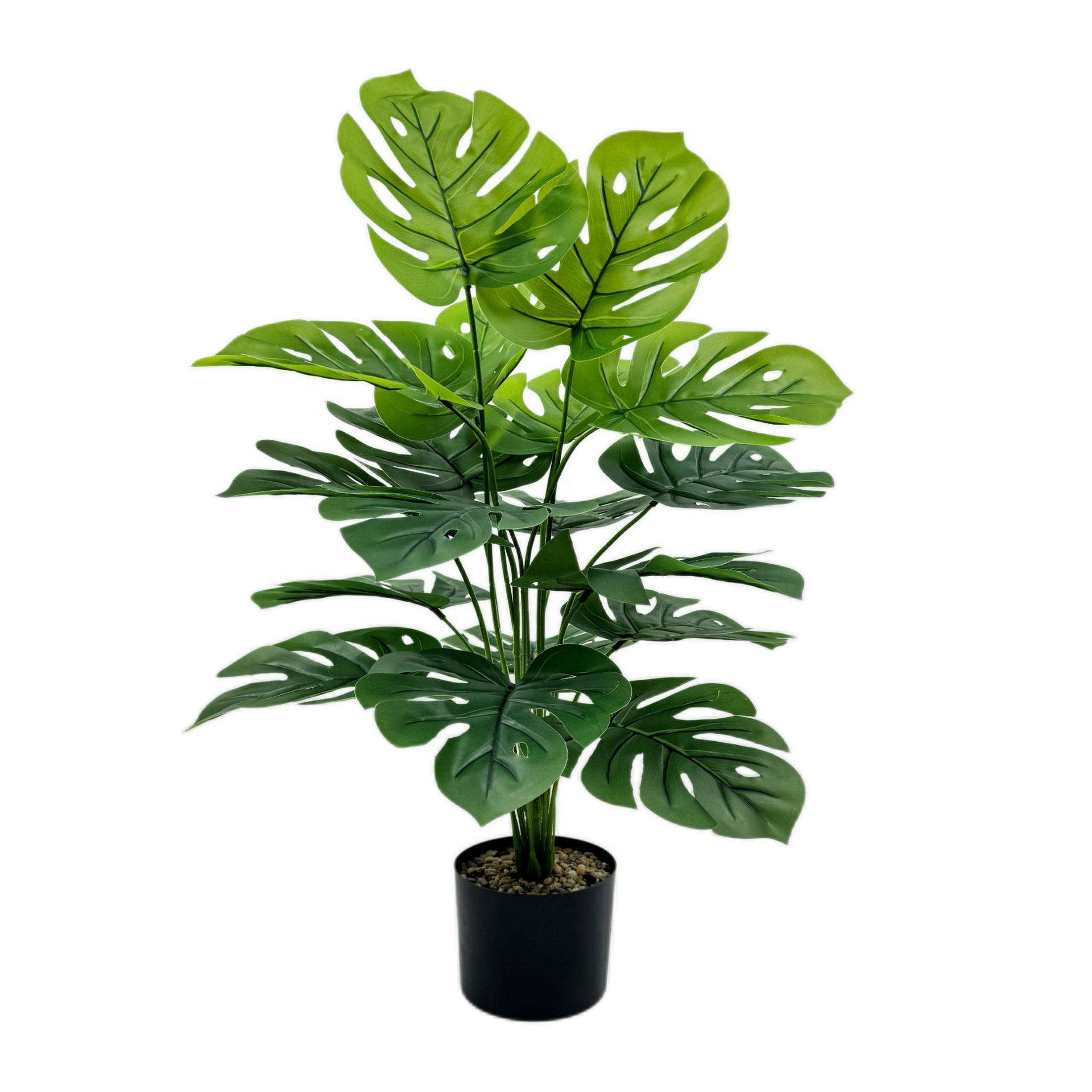 18 têtes feuille de monstera (sans pot)