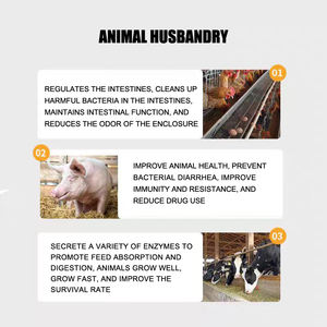 Bacillus licheniformis 100 <span class=keywords><strong>miliardi</strong></span> in aree agricole completamente idrosolubili sono resistenti alle colture pesanti e al controllo del marciume radicale - Product Image 3