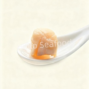 Vieiras Secas Premium al Por Mayor para Servicios de Alimentos e Industria Hotelera - Product Image 6