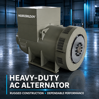Régulation de tension AVR 400 kVA 320 kW Alternateur AC industriel triphasé 50 Hz style Stanford