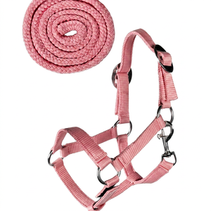 Custom Logo <b>Equestrian</b> Headstall Comfortable Horse Nylon Halter with High Waist for Horse Racing - Product Image 1