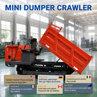 Mini-dumper sur chenilles pour le transport forestier, machine de transport personnalisée, livraison gratuite, 1 tonne, 2 tonnes, 3 tonnes, prix
