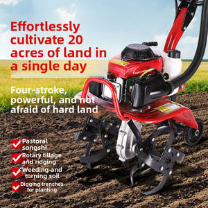Affidabile Mini Motozappa a Gas che Offre Prestazioni di Grandi Macchine in Molteplici Aspetti per la Manutenzione di Orti e Frutteti - Product Image 2