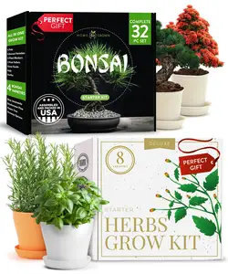 Bonsai Herb Garden Bundle Herb Grow Kit Indoor Bonsai Starter Kits With Bonsai Pots Complete Gardening Kits For Indoors Outdoors