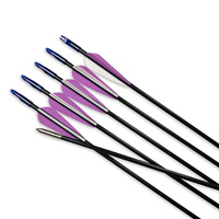 Flèche de tir à l'arc en fibre de verre de 31 pouces avec pointes collées, flèches en fibre de verre de 6 mm/7 mm