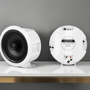 Loa trần tích hợp bộ khuếch đại WiFi 2.4G 5G, điều khiển bằng ứng dụng, đa phòng, hỗ trợ DLNA, BT 5.0, <span class=keywords><strong>RJ45</strong></span>, dành cho rạp hát gia đình và tiệc tùng - Product Image 3