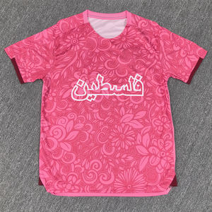 畅销2024 2025巴勒斯坦特别版高品质泰国风格足球服热转印印花足球服 - Product Image 1