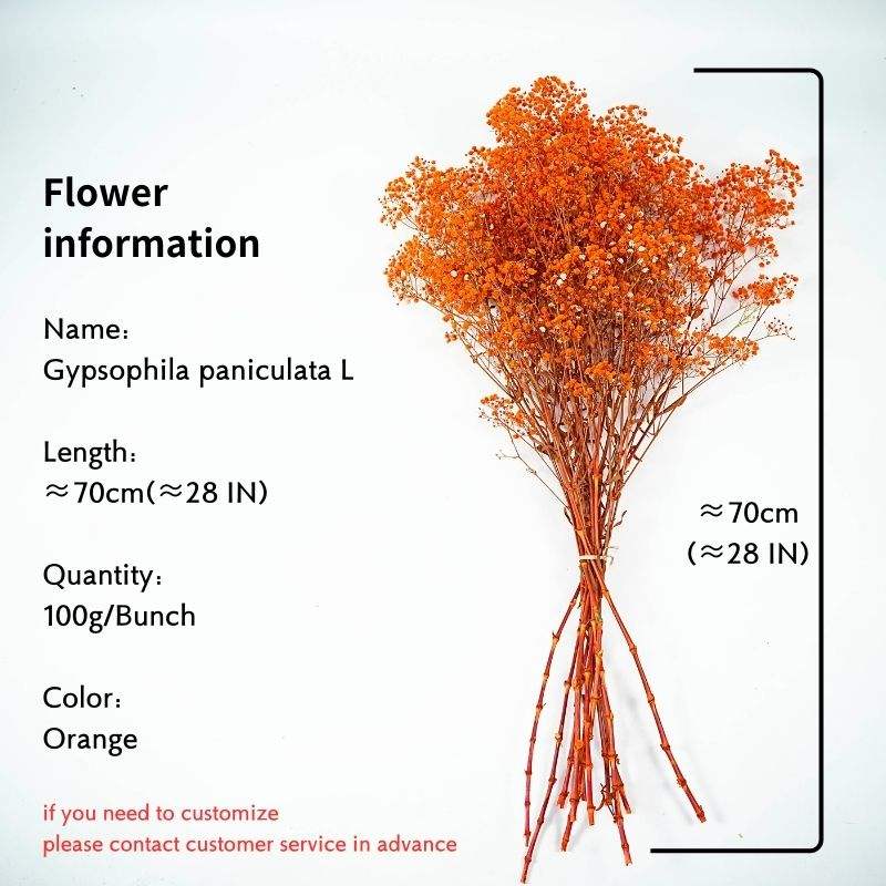 Naranja (cantidad: 100g/manojo) es 28 pulgadas de largo