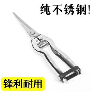 Stainless Steel Fruit Thinning Shears Bypass Pruner For Pruning Fruit Trees Manual Operation Metal Handle Gray - Product Image 2