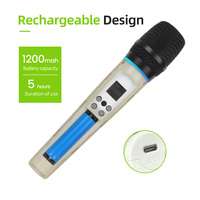 Système de microphone sans fil UHF professionnel double micros cardioïdes XLR rechargeables signal stable pour karaoké, scène et DJ