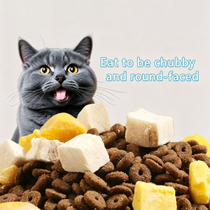 <span class=keywords><strong>Nourriture</strong></span> pour chats riche en viande, nutritive, pour développer les muscles, mélange double lyophilisé pour prendre du poids et avoir un visage rond, pour chatons et chats adultes - Product Image 3