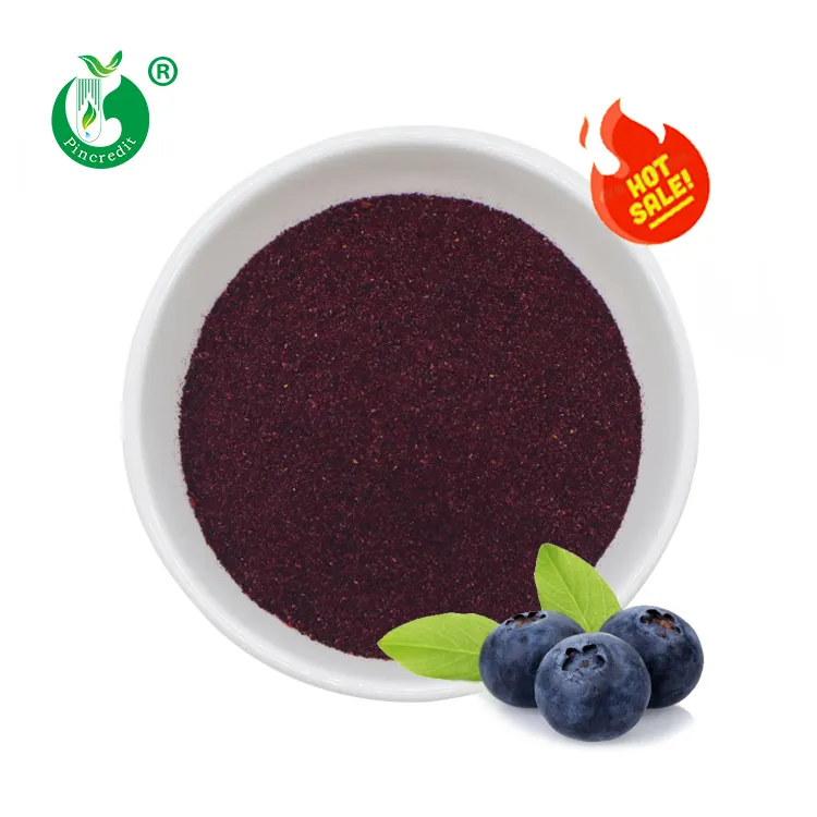 100% Tinh Khiết Đóng Băng Khô Hoang Dã Số Lượng Lớn Hữu Cơ Blueberry Bột