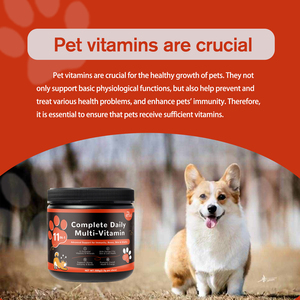 Meilleures ventes Fabricant professionnel efficace 11 en 1 Multi-vitamines à mâcher quotidiennement <span class=keywords><strong>pour</strong></span> animaux <span class=keywords><strong>de</strong></span> compagnie Soutien immunitaire - Product Image 6