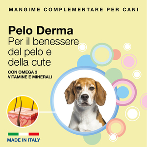 Supplément pour chien 30 comprimés pour renforcer l'immunité Vet Nutrition Supplément pour pelage de la peau Soins de santé et suppléments pour animaux de compagnie - Product Image 2