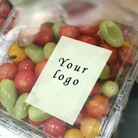 Ecologisch verantwoorde verpakking PLA fruitdoos met aangepast logo, diverse maten beschikbaar, composteerbaar, geventileerde PLA fruitpunnetten verpakking