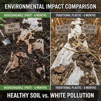 Film de paillage agricole écologique noir/argenté en PE, durée de vie de 5 ans, avec service de découpe, largement utilisé pour la culture des légumes