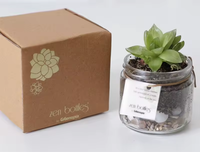 Boîte d'expédition ondulée d'emballage de transport de livraison de plantes vivantes OEM ODM pour plantes