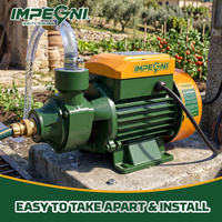 Pompe centrifuge électrique auto-amorçante QB80 750W 1HP pour eau claire, idéale pour l'irrigation domestique et de jardin (OEM)
