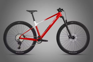 Bicicleta de Montaña FLM M10-Elite de Fibra de Carbono 29er Hardtail de 12 Velocidades con Horquilla de Aire, 11.5 kg, Almacenamiento XC MTB MAXXIS Velo VTT Bicicleta <span class=keywords><strong>Montana</strong></span> - Product Image 2