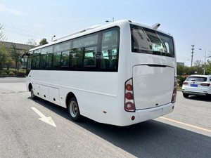 20% Off Rare Opportunity <span class=keywords><strong>Bus</strong></span> Coaster 30 + 1 Sièges 2 Portes à haut coût pour l'auto-utilisation ou la revente sur le marché de l'Amérique latine - Product Image 4