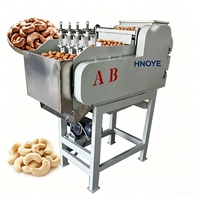 Machine industrielle de décorticage et de cassage des noix de cajou pour le traitement des noix de cajou brutes avec faible dommage aux amandes