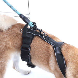 เสื้อกั๊กตาข่ายใส่สบายน้ำหนักเบามีเบาะนีโอพรีนสำหรับลูกสุนัขขนาดกลางขนาดใหญ่ - Product Image 3