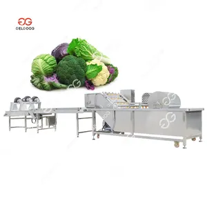 Multifunctional Celery Vegetables Wash And Air Drying Line Machine Fruit & Vegetable Washing Equipments Washer