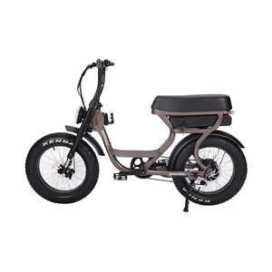 Vélo électrique EU USA 20 pouces à pneus larges 250W Baogl 25km/h Vélo adulte ATV07 Nouveau Vélo tout-terrain Fat Bike - Product Image 1
