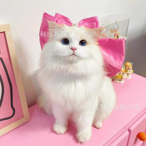 Corbata de lazo para gatos Mary, bufanda para mascotas, collar decorativo para gatos, collar para cachorros Bichon Frise, para gatos Ragdoll - Product Image 2