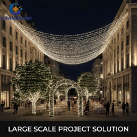 Guirlandes lumineuses LED personnalisées de 10 m, 20 m, 30 m, 50 m, 100 m, lumières décoratives commerciales pour les centres commerciaux, les places, les projets hôteliers, les présentoirs