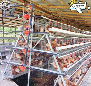 Gabbie per Galline Ovaiole Automatiche <span class=keywords><strong>a</strong></span> 4 Livelli, Zincate, per Allevamento Avicolo, da 120, 128, 160 Posti - In Vendita - Product Image 1