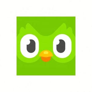 Cuenta Premium Duolingo Pro 1 Año, Activa Tu Propia Cuenta, Aplicable Globalmente en Todo el Mundo - Product Image 3