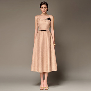 empire high waist dress Empire Waist Maxi Chiffon Evening Dress for Women main image 1