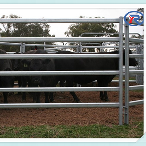 Ağır 12 ft uzun 5 ft yüksekliğinde kullanılan boru at ağıl paneli sığır çit paneli - Product Image 4