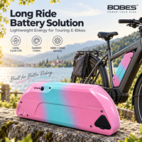 Batterie au lithium-ion Tiger Shark 36V 48V 10.4Ah 12Ah 14Ah, batterie de remplacement pour vélo électrique, E-Bike, OEM ODM