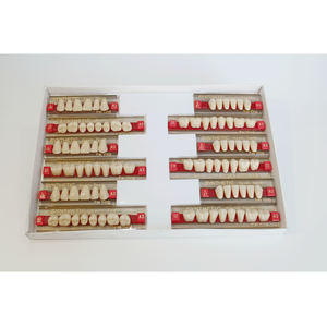 Fornitura dentale manuale denti plastica resina polimerica per protesi dentarie - Product Image 2