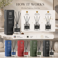 Diffuseur cylindrique de 100 ml avec 5 bâtonnets en fibre noire et boîte individuelle colorée